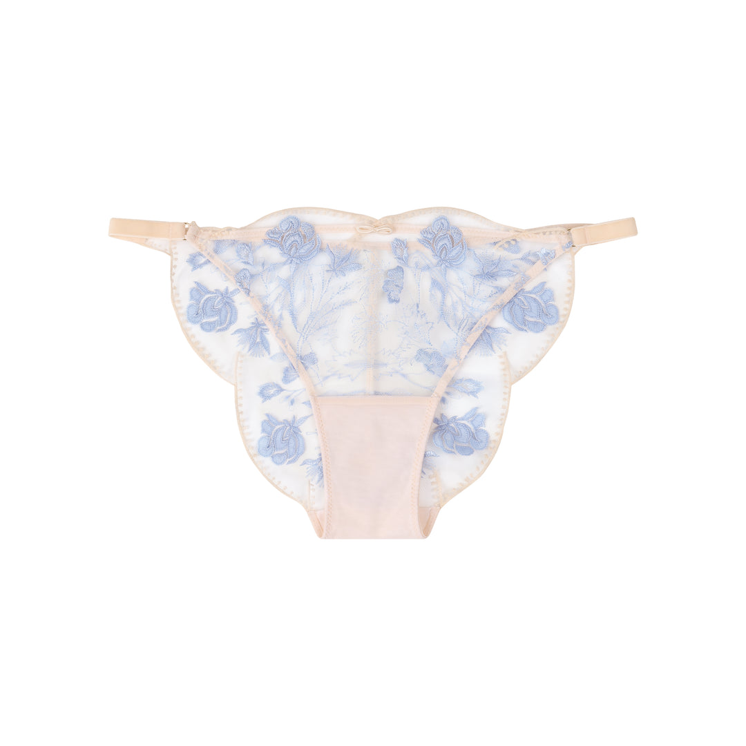 A bikini brief with fine lace embroidery on sheer mesh
