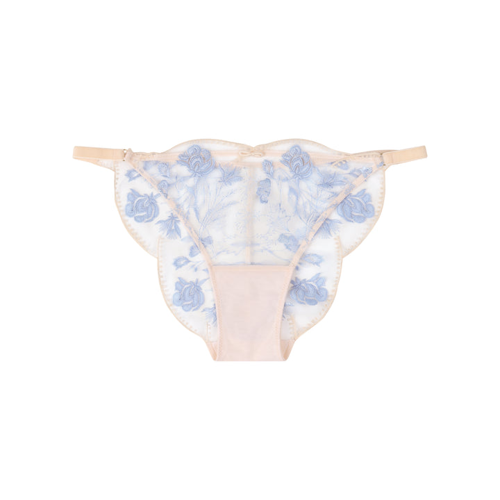 A bikini brief with fine lace embroidery on sheer mesh